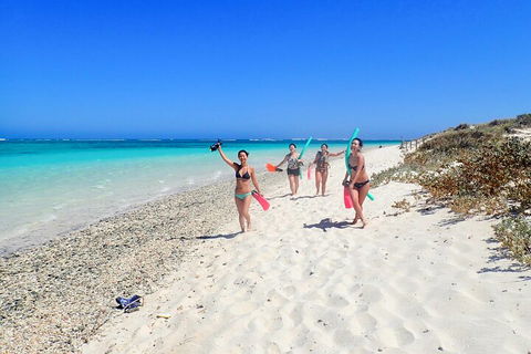 Ningaloo In A Day - Full Day Hike And Snorkel Tour With Lunch - Whitsundays Accommodation 1