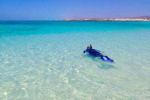 Ningaloo In A Day - Full Day Hike And Snorkel Tour With Lunch - Whitsundays Accommodation 4