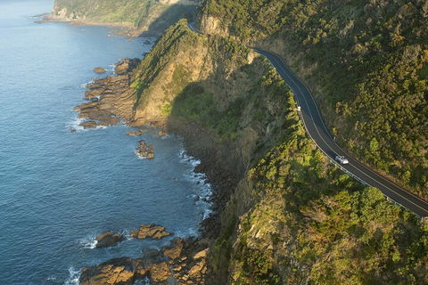 LGBT+ Friendly 2 Day Private Tour Great Ocean Road + Phillip Island - Whitsundays Accommodation 4