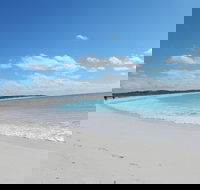Shipwreck Special Nature Tour/Half Day Tour - Whitsundays Accommodation
