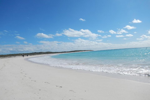 Shipwreck Special Nature Tour/Half Day Tour - Whitsundays Accommodation 0