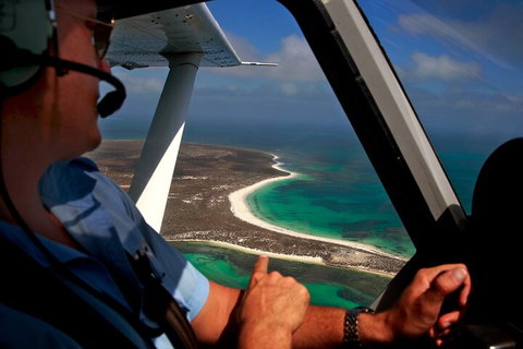 Shipwreck Special Nature Tour/Half Day Tour - Whitsundays Accommodation 1