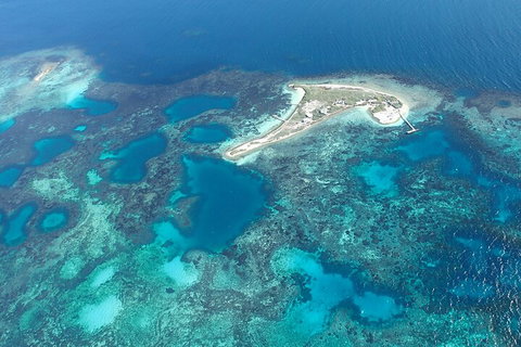 Shipwreck Special Nature Tour/Half Day Tour - Whitsundays Accommodation 5