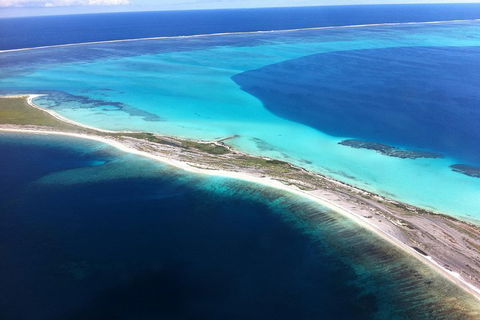 Abrolhos Islands Fixed-Wing Scenic Flight - Whitsundays Accommodation 1