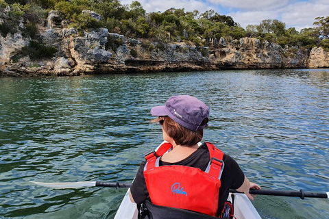 Cliffs And Caves Kayak Tour In Swan River - Whitsundays Accommodation 0