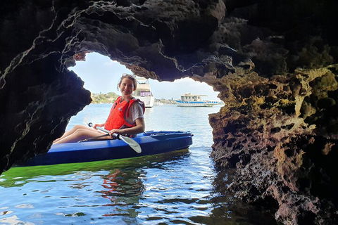 Cliffs And Caves Kayak Tour In Swan River - Whitsundays Accommodation 1