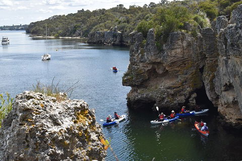 Cliffs And Caves Kayak Tour In Swan River - Whitsundays Accommodation 5