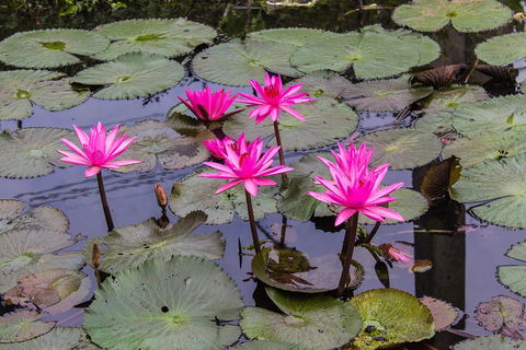 Kakadu, Nourlangie And Yellow Waters Tour From Darwin - Whitsundays Accommodation 1