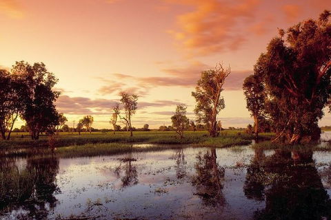 3-Day Kakadu National Park And Arnhem Land Explorer Tour From Darwin - Whitsundays Accommodation 1