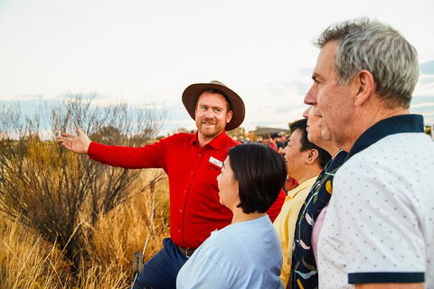 Uluru (Ayers Rock) Sunset With Outback Barbecue Dinner And Star Tour - Whitsundays Accommodation 3