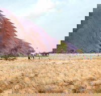 Uluru Sunrise and Guided Base Walk - Whitsundays Accommodation
