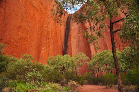 Uluru Sunrise And Guided Base Walk - Whitsundays Accommodation 3