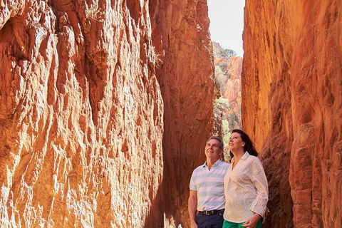 Best Of Alice Springs Full Day Tour - Whitsundays Accommodation 4