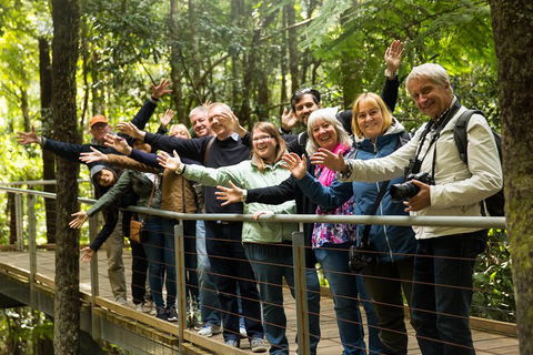 All Inclusive Blue Mountains Small-Group Day Trip From Sydney - Whitsundays Accommodation 5