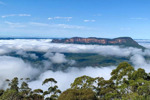 Small-Group Blue Mountains Tour With A Local Guide - Whitsundays Accommodation 4