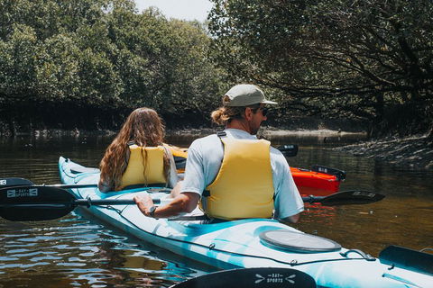 Kayak Tour In Adelaide Dolphin Sanctuary - Whitsundays Accommodation 2