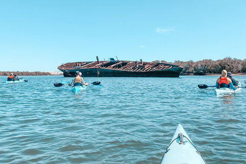 Kayak Tour In Adelaide Dolphin Sanctuary - Whitsundays Accommodation 3