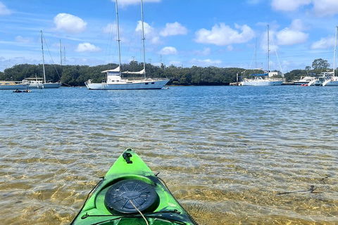 Kayak Tour In Adelaide Dolphin Sanctuary - Whitsundays Accommodation 4