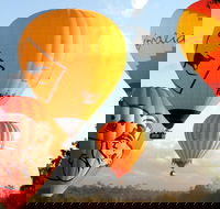Natural Bridge  Springbrook Waterfalls Tour  Hot Air Balloon with Breakfast - Whitsundays Accommodation