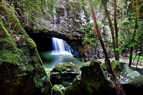 Natural Bridge & Springbrook Waterfalls Tour + Hot Air Balloon With Breakfast - Whitsundays Accommodation 4