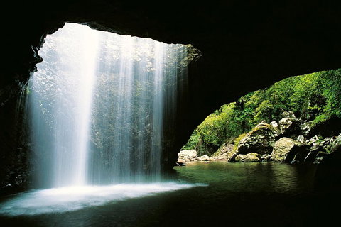 Natural Bridge & Springbrook Waterfalls Tour - Whitsundays Accommodation 0