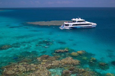 Silversonic Outer Great Barrier Reef Dive And Snorkel Cruise From Port Douglas - Whitsundays Accommodation 2