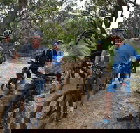 Fully guided E-Mountain Bike Tour on the beautiful Mornington Peninsula. - Whitsundays Accommodation