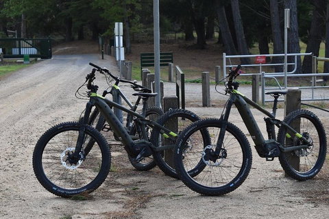 Fully Guided E-Mountain Bike Tour On The Beautiful Mornington Peninsula. - Whitsundays Accommodation 2