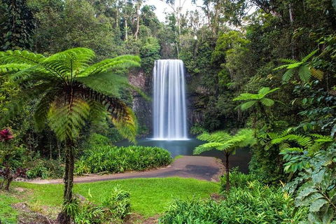 Cairns & Port Douglas All-Inclusive 7 Days Touring Package - Whitsundays Accommodation 2