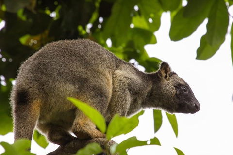 Cairns & Port Douglas All-Inclusive 7 Days Touring Package - Whitsundays Accommodation 3