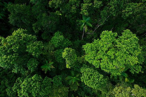 Cairns & Port Douglas All-Inclusive 7 Days Touring Package - Whitsundays Accommodation 4