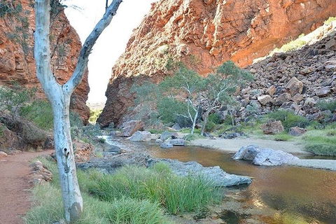 Alice Springs, Uluru Ayers Rock & Kings Canyon 8 Days Touring Package - Whitsundays Accommodation 2