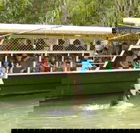 Hartley's Crocodile Adventure Half-Day Tour - Whitsundays Accommodation