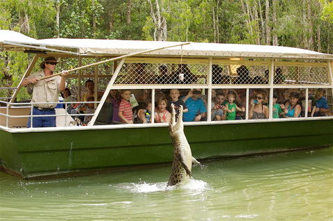 Hartley's Crocodile Adventure Half-Day Tour - Whitsundays Accommodation 0