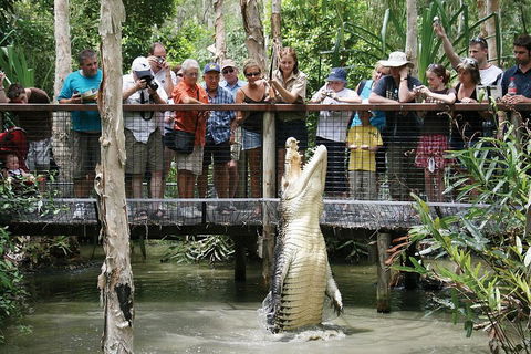 Hartley's Crocodile Adventure Half-Day Tour - Whitsundays Accommodation 1