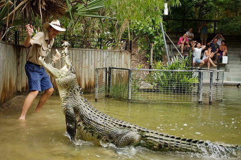 Hartley's Crocodile Adventure Half-Day Tour - Whitsundays Accommodation 2