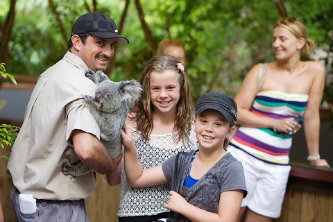 Hartley's Crocodile Adventure Half-Day Tour - Whitsundays Accommodation 3