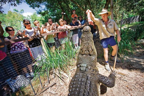 Hartley's Crocodile Adventure Half-Day Tour - Whitsundays Accommodation 4