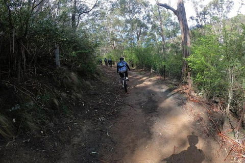 Explore Downhill Mountain In 3-Hour Bike Tour From Hobart - Whitsundays Accommodation 3