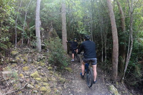 Explore Downhill Mountain In 3-Hour Bike Tour From Hobart - Whitsundays Accommodation 4