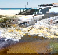 Full-Day Moreton Island 4x4 Sightseeing Tour - Whitsundays Accommodation