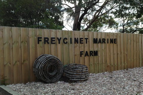 Active Day Tour One-Way From Launceston To Hobart Via Wineglass Bay - Whitsundays Accommodation 3