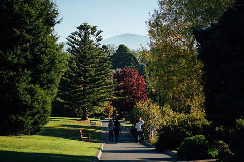 Private Royal Tasmanian Botanical Gardens Walking Tour - Whitsundays Accommodation 1