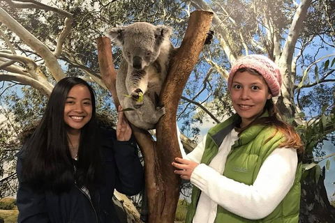 Australia Multi-City Attractions Pass - Whitsundays Accommodation 3