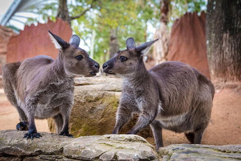 Australia Multi-City Attractions Pass - Whitsundays Accommodation 4