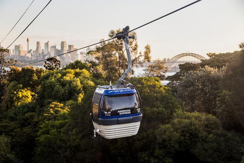 Australia Multi-City Attractions Pass - Whitsundays Accommodation 5