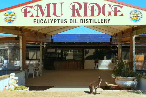 2-Day Kangaroo Island Safari From Adelaide - Whitsundays Accommodation 4