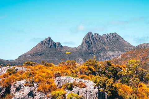 Cradle Mountain National Park Day Tour From Launceston - Whitsundays Accommodation 1