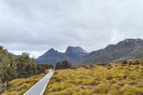 Cradle Mountain National Park Day Tour From Launceston - Whitsundays Accommodation 2