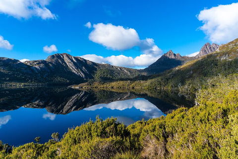 Cradle Mountain National Park Day Tour From Launceston - Whitsundays Accommodation 3